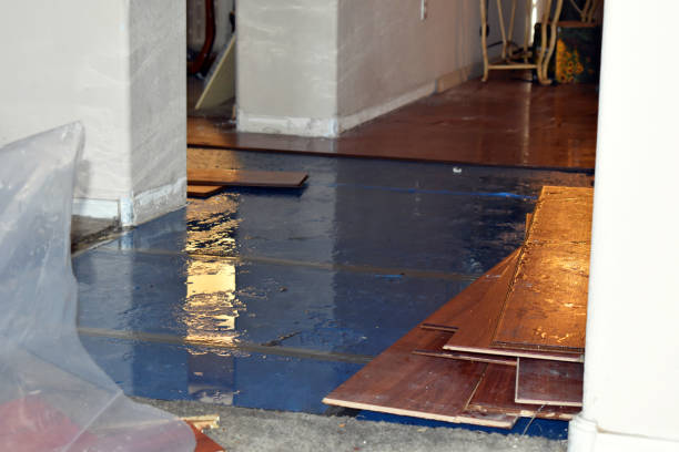 Professional Burst Pipe Cleanup technician working in Williamsfield, OH